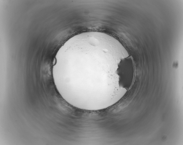 X0000093381106200711011244