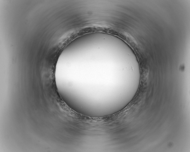 X0000093381110200711011244