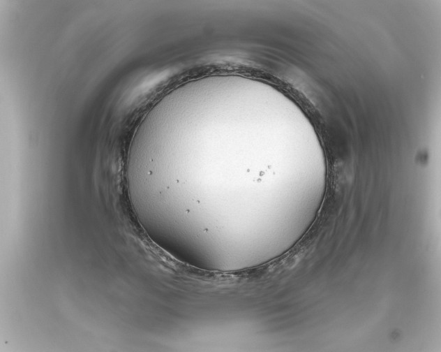 X0000093381111200711011244