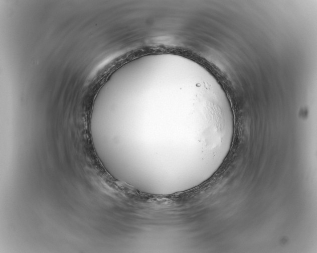 X0000093381112200711011244