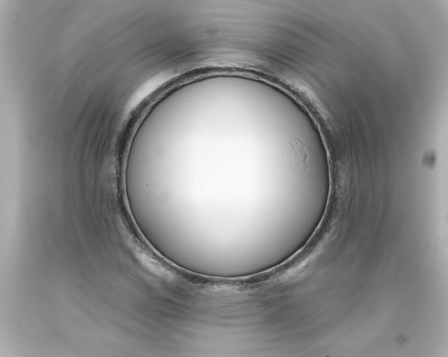 X0000093381114200711011244