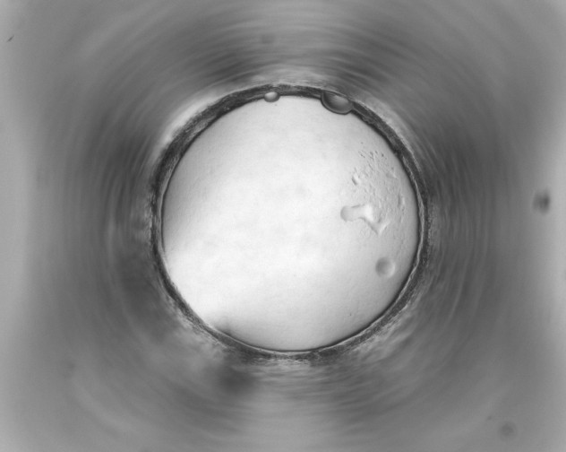 X0000093381115200711011244