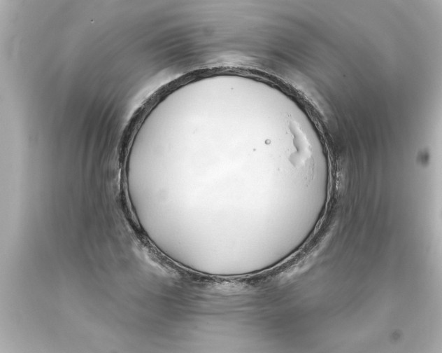 X0000093381117200711011244