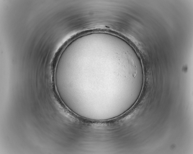 X0000093381118200711011244