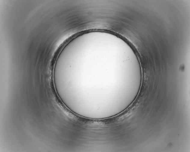 X0000093381119200711011244