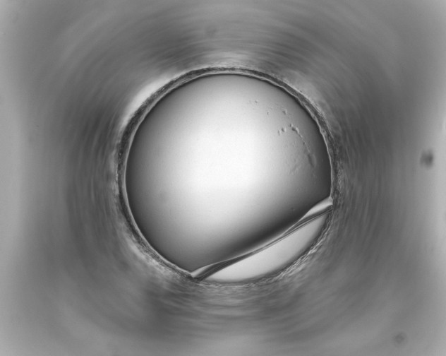 X0000093381120200711011244