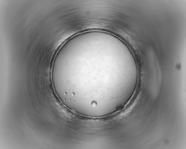 X0000093381121200711011244