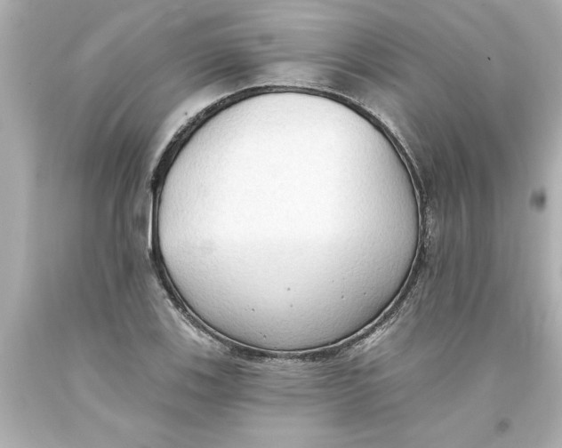 X0000093381123200711011244