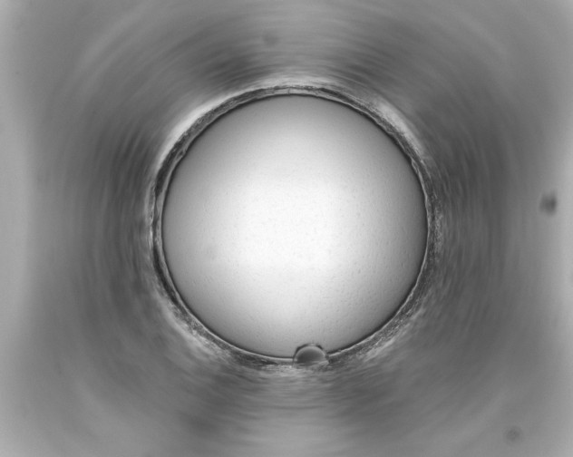 X0000093381124200711011244