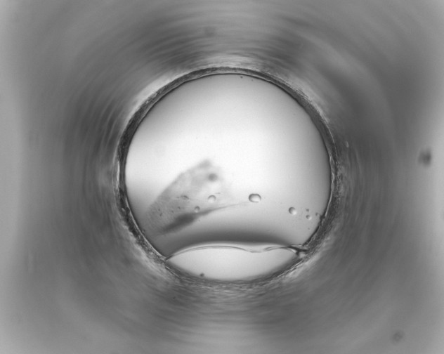 X0000093381125200711011244