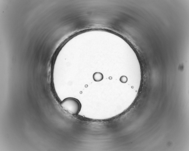 X0000093381126200711011244