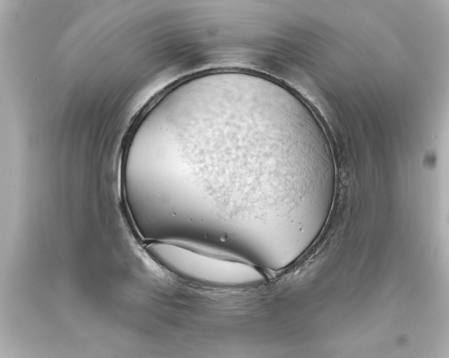 X0000093381127200711011244