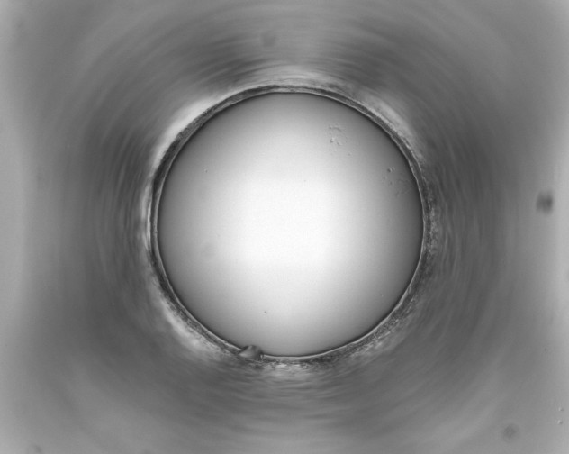 X0000093381128200711011244