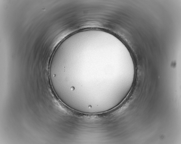 X0000093381129200711011244