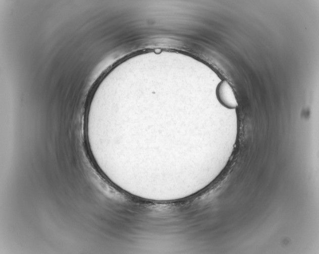 X0000093381130200711011244