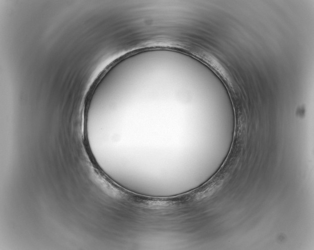 X0000093381132200711011244