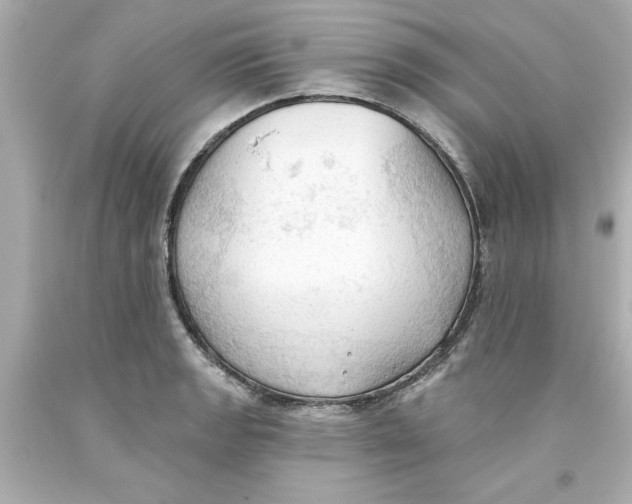 X0000093381133200711011244