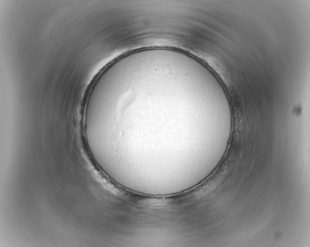 X0000093381134200711011244