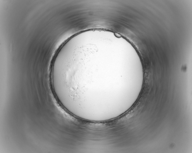 X0000093381135200711011244