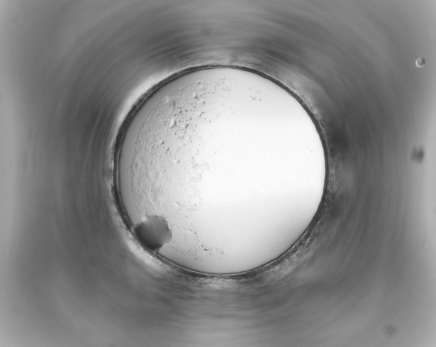 X0000093381136200711011244