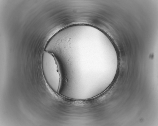 X0000093381137200711011244