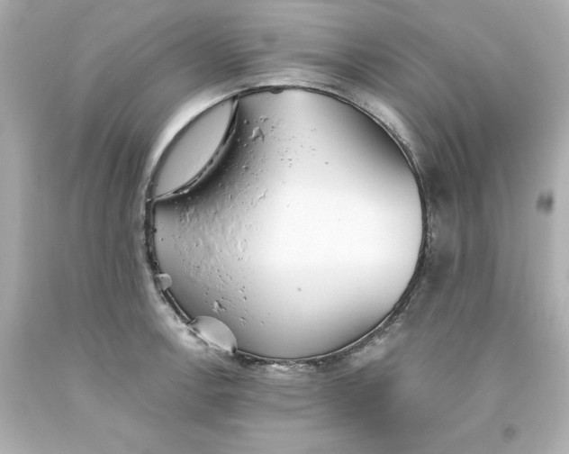 X0000093381138200711011244