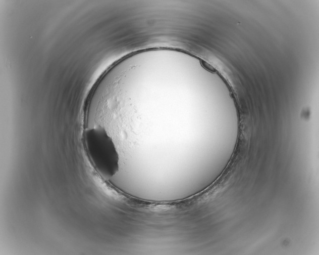 X0000093381140200711011244