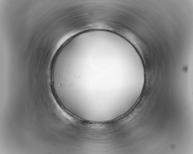 X0000093381141200711011244