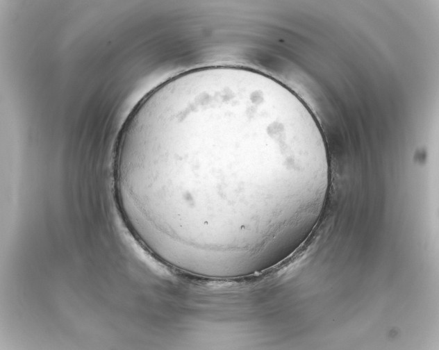 X0000093381142200711011244