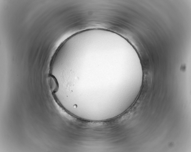 X0000093381143200711011244