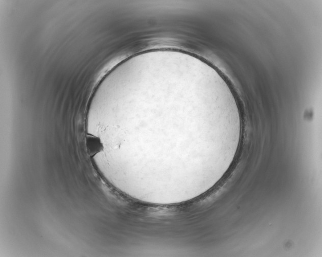 X0000093381145200711011244