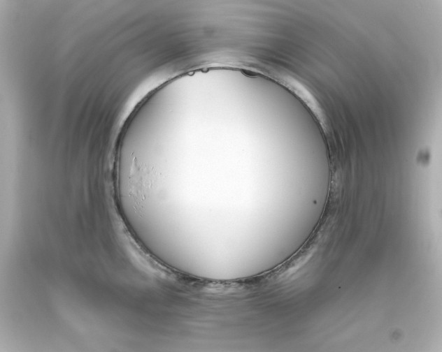 X0000093381146200711011244