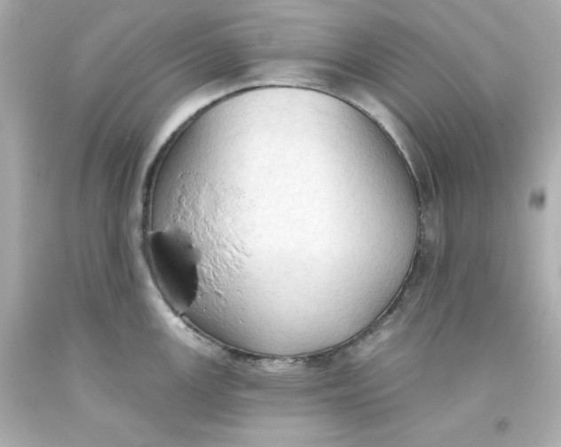 X0000093381147200711011244