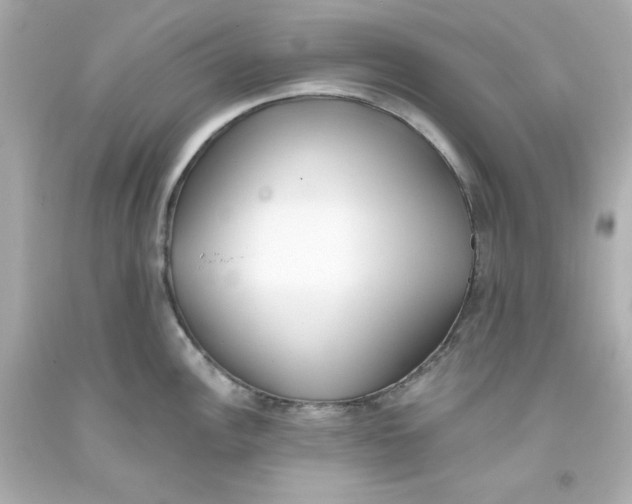 X0000093381148200711011244