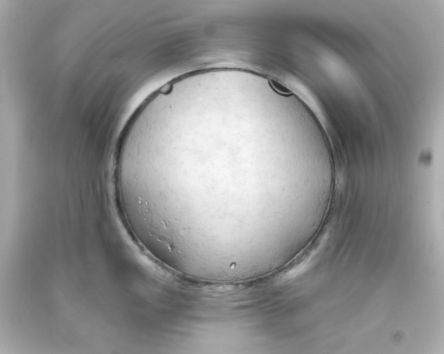 X0000093381149200711011244