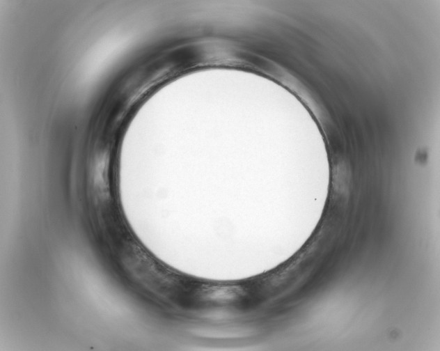 X0000093381150200711011244