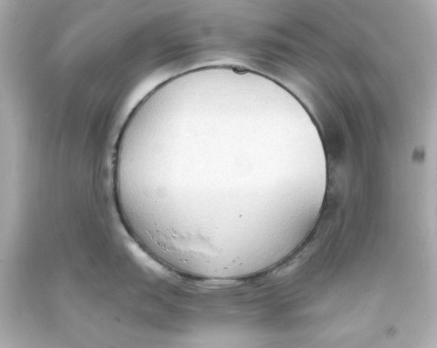 X0000093381151200711011244