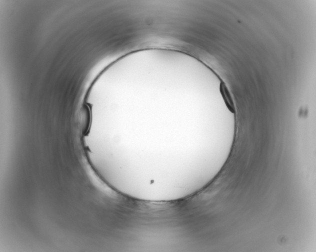 X0000093381152200711011244