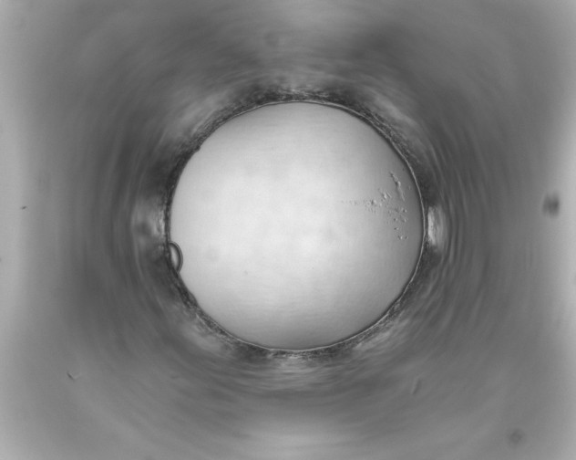 X0000093381155200711011244