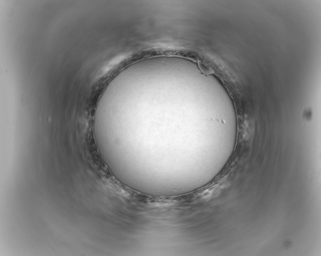 X0000093381157200711011244