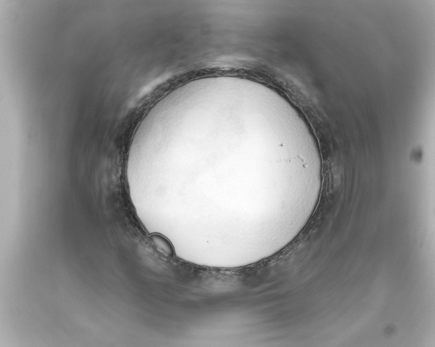 X0000093381158200711011243