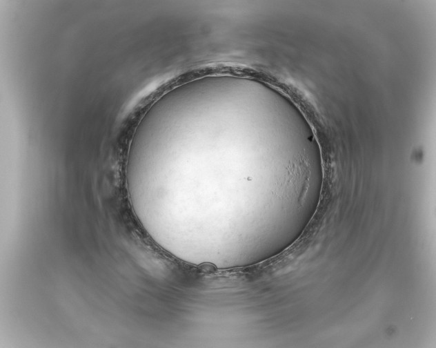 X0000093381159200711011243