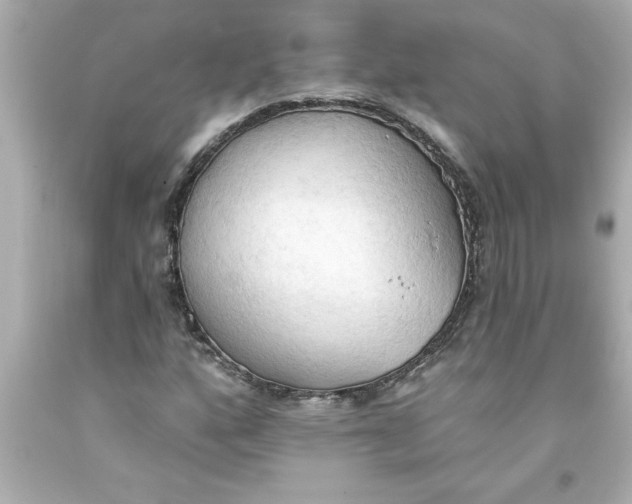 X0000093381160200711011243