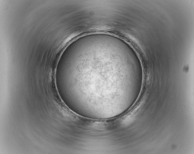 X0000093381161200711011243