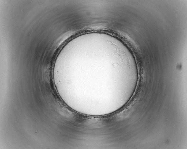 X0000093381162200711011243