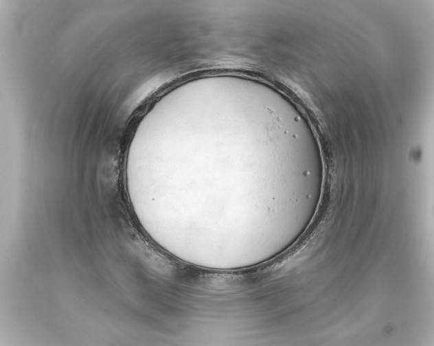 X0000093381163200711011243