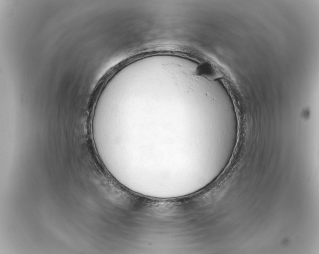 X0000093381166200711011243