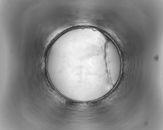 X0000093381167200711011243