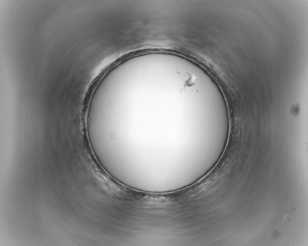 X0000093381168200711011243