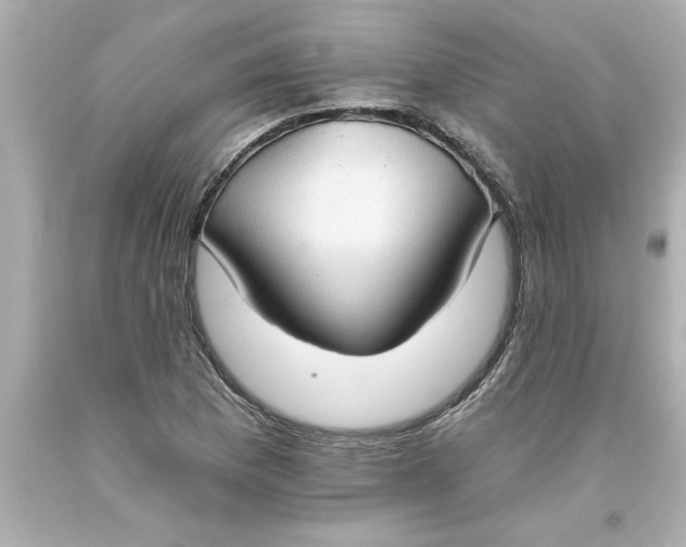 X0000093381169200711011243